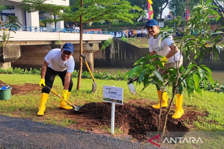 Pemkot Jaktim tanami bantaran KBT dengan pohon produktif