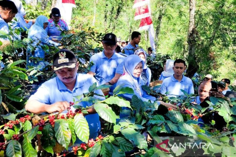 Pentingnya menjaga industri kopi dari hulu hingga hilir