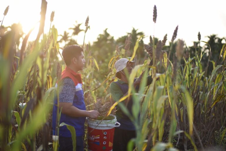 Pertamina Borong 42 Penghargaan CSR Awards