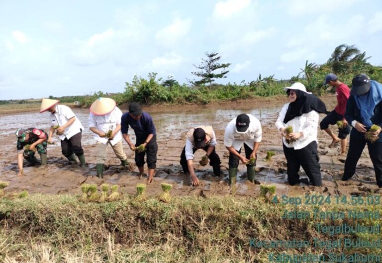 Petani Sukabumi Diminta Perkuat Potensi PAT Padi Gogo