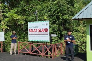 SSMS komitmen ESG melepasliarkan dua individu orangutan di Pulau Salat