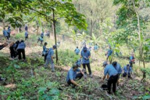 TRID-Perhutani Tanam 200 Pohon untuk Masa Depan Berkelanjutan