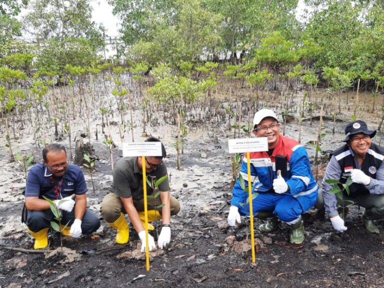 UI Beri Edukasi Jaga Kelestarian Hutan Bakau di Pahawang