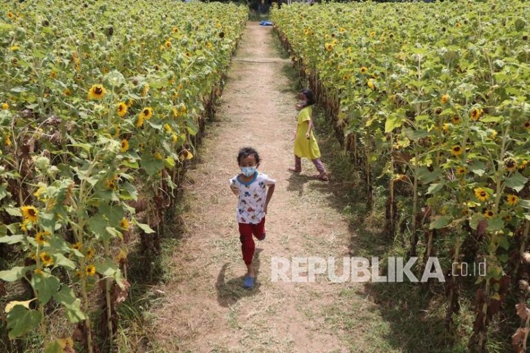 Vitamin D Bisa Cegah Timbulnya Alergi Berulang pada Anak