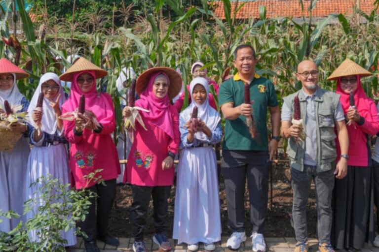 Walkot Jakut ajak warga ikut terlibat penguatan ketahanan pangan