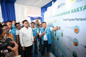 Wamentan gandeng PLN kembangkan ekosistem biomassa