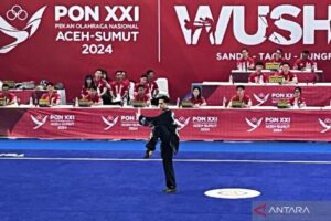 Wushu – Nicholas raih medali emas perdana untuk tuan rumah